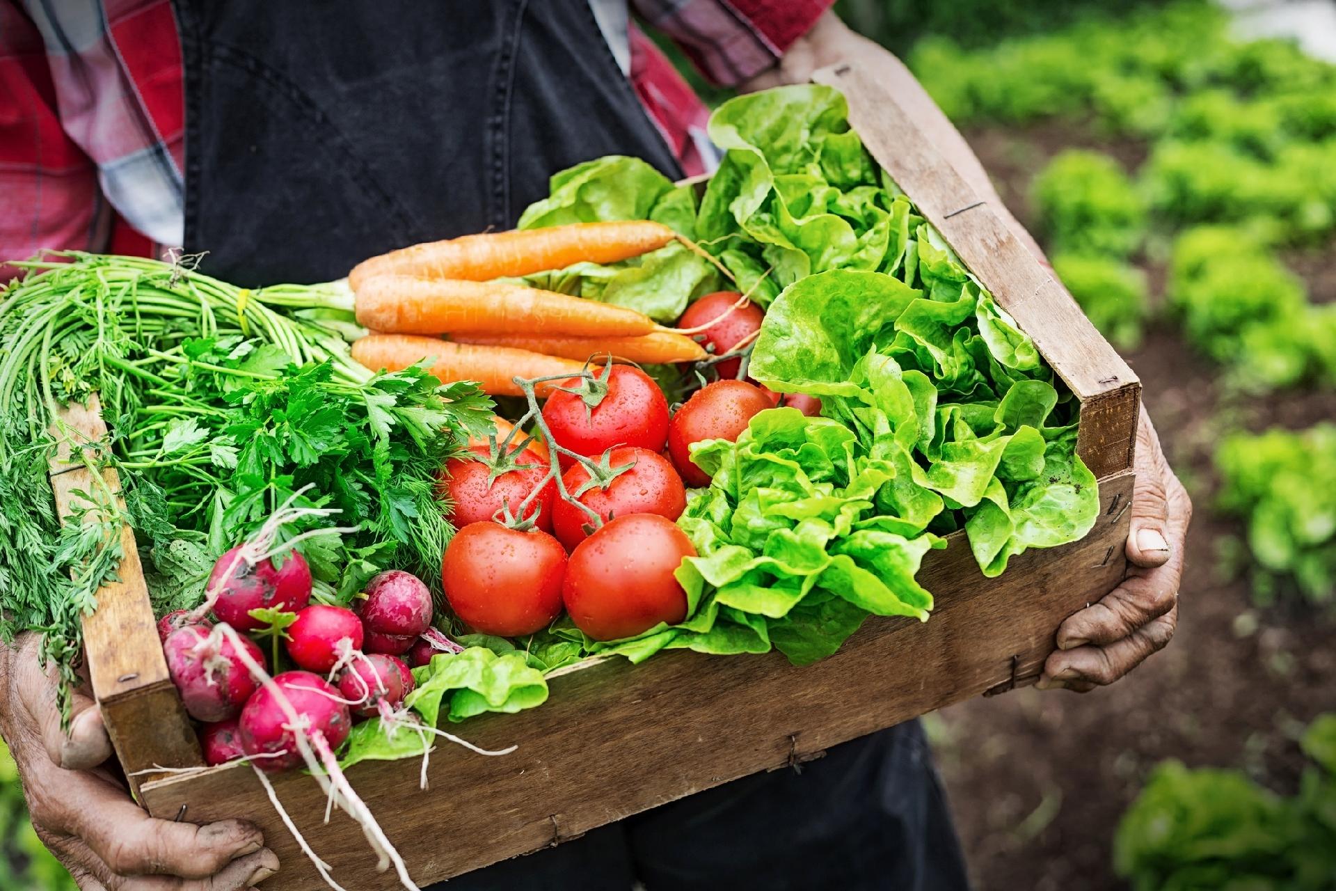Capa Coopraff realiza entrega de alimentos ao Promenor e CRAS