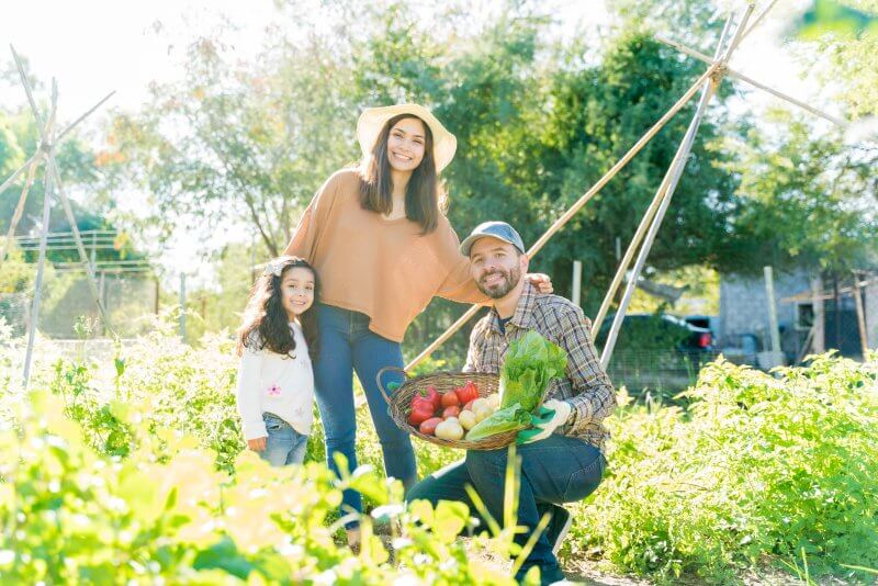 Capa Iraí passa a integrar o Programa Regional de Sucessão Rural