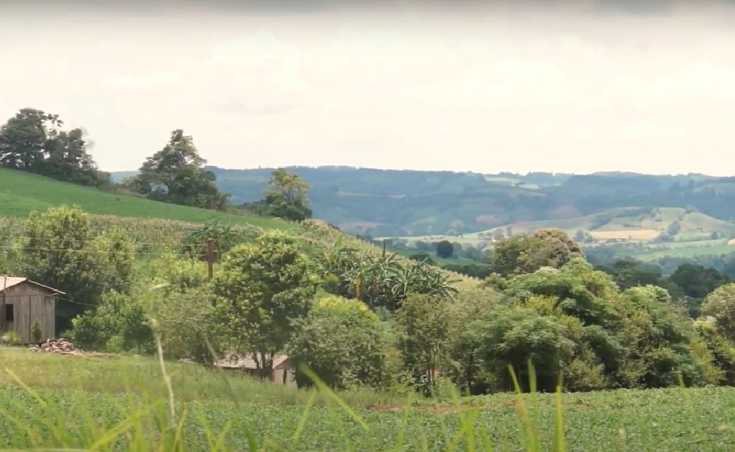 Capa Lideranças da Terra Indígena Nonoai afirmam não apoiar movimento de retomada em Taquarussuzinho