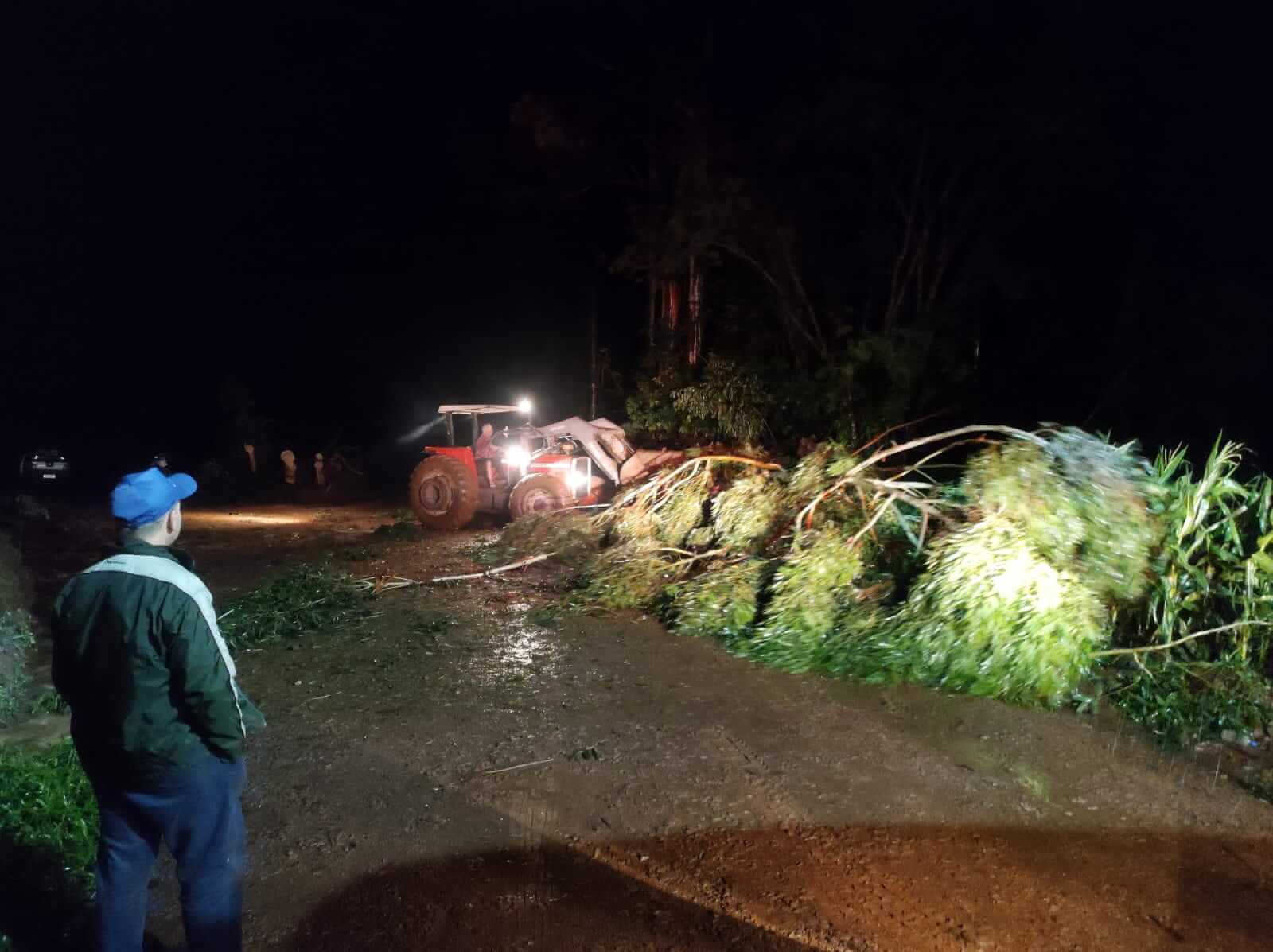 Capa Árvore cai sobre estrada no interior de Tenente Portela
