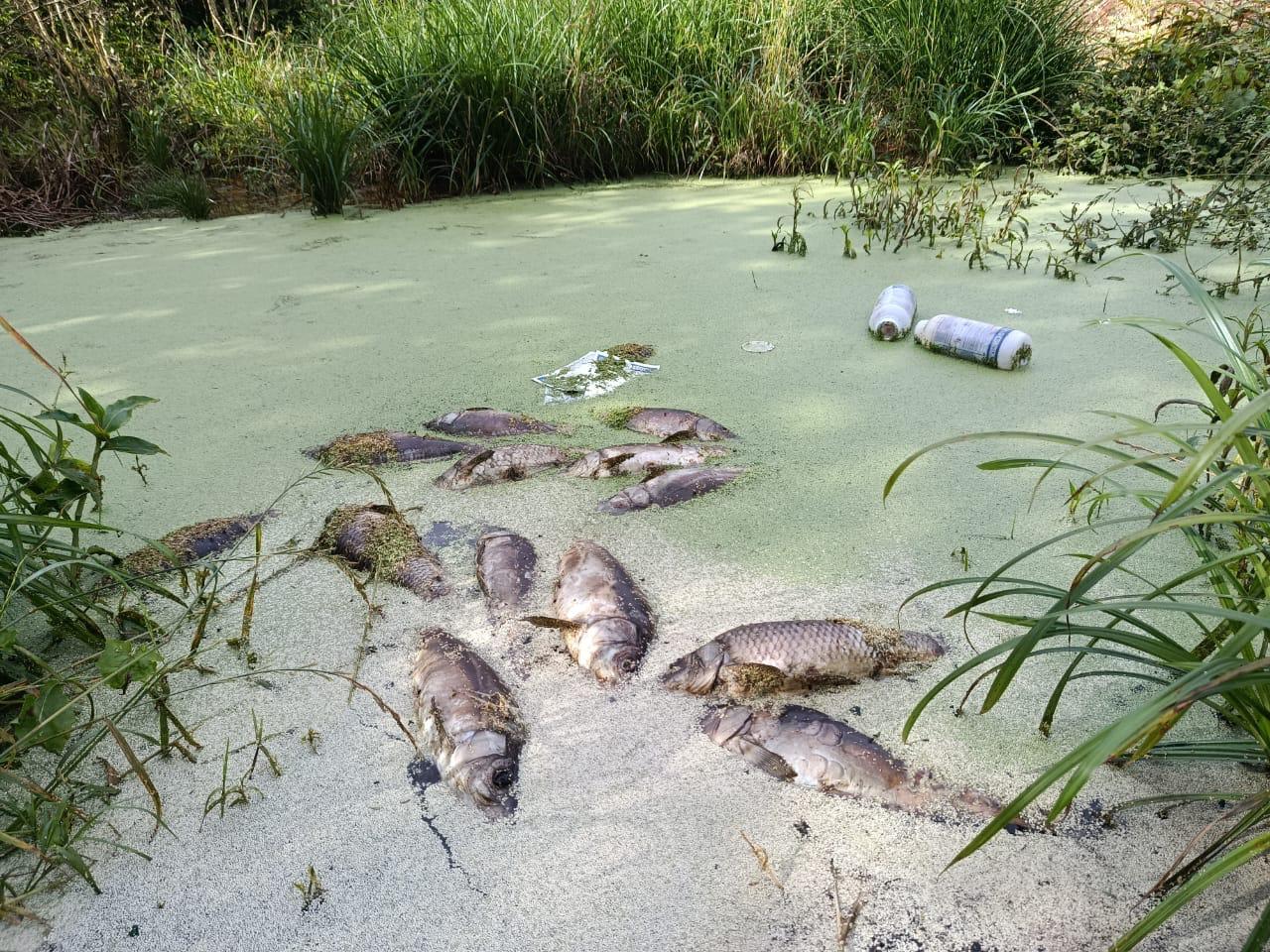 Capa Polícia Militar flagra descarte irregular de embalagens de agrotóxicos em Sarandi