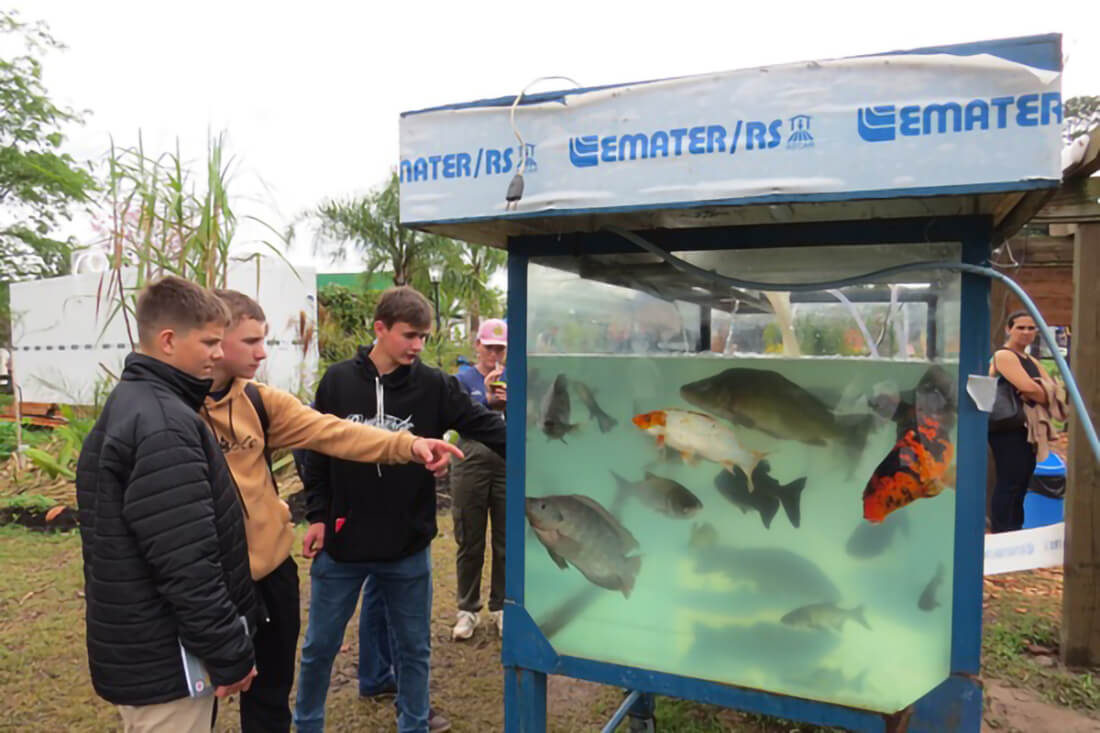 Capa Emater/RS-Ascar ensina como ter sucesso na criação de peixes