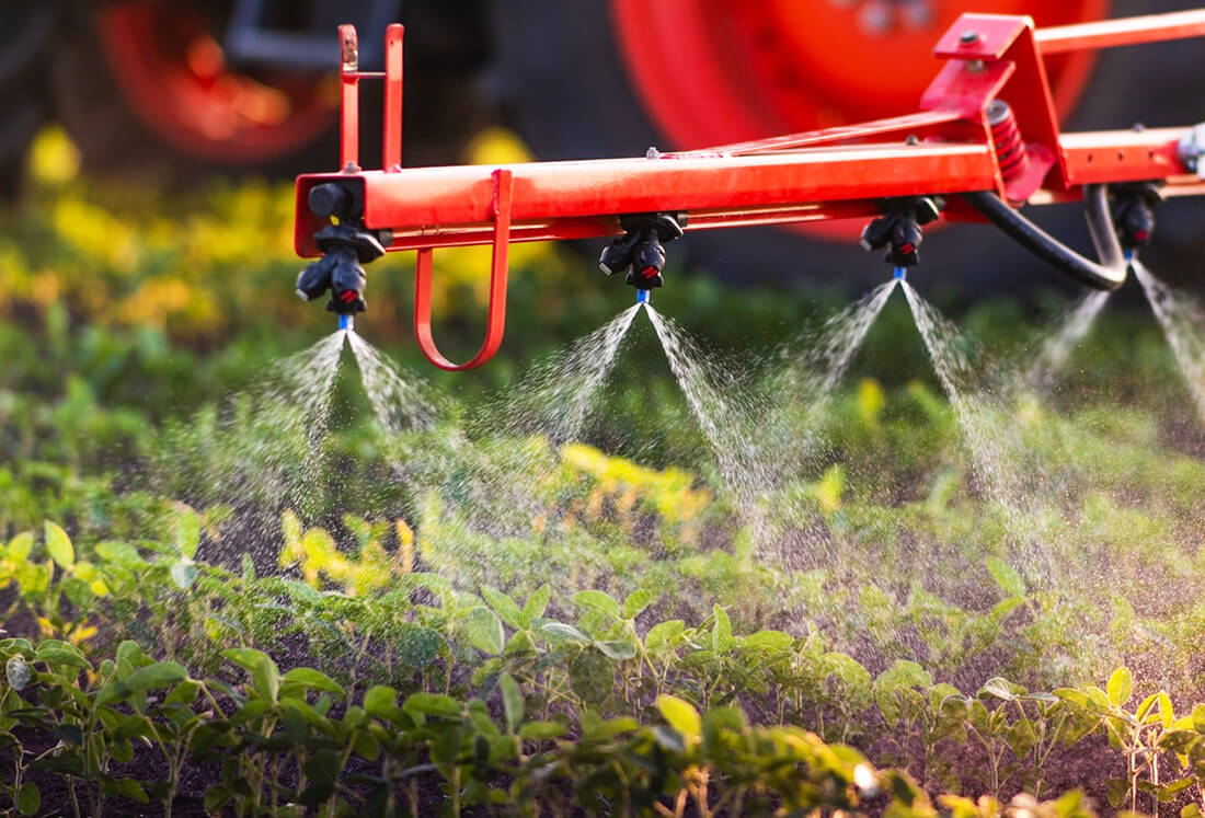 Capa Noite de Campo de Soja da Cotrifred aborda o uso de defensivos hormonais