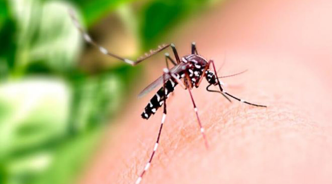 Capa Rio Grande do Sul confirma oitava morte por dengue em 2025