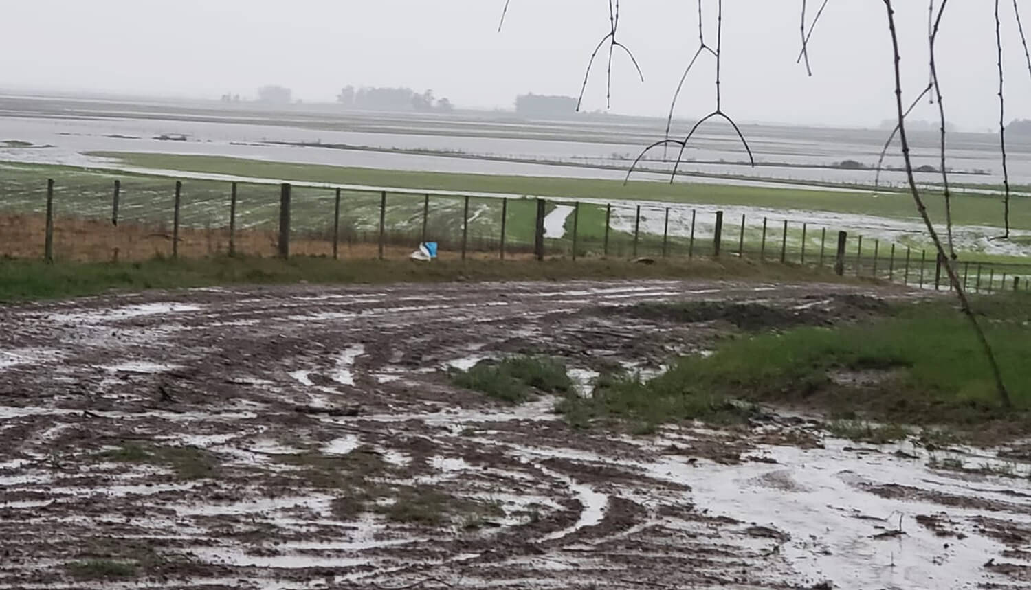 Capa Produtor rural é orientado sobre providências contra prejuízos causados por enchentes