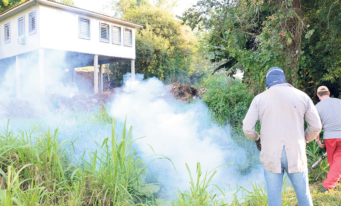 Capa Saúde anuncia Dia D de mobilização nacional contra a dengue neste sábado