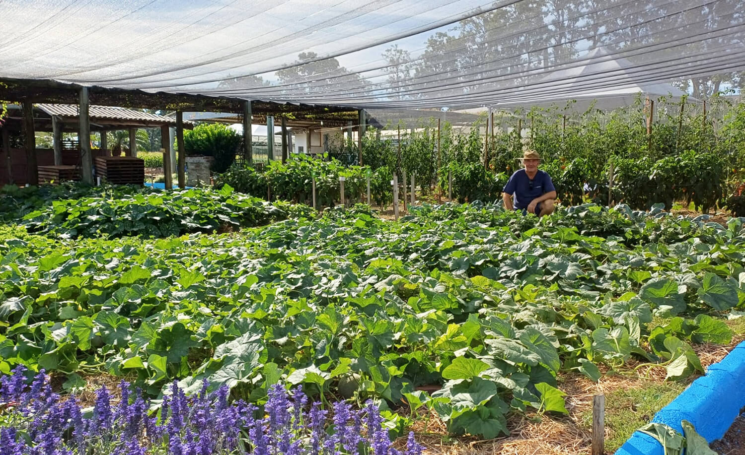 Capa Sucessão Rural pautará ações no Espaço Casa da Emater