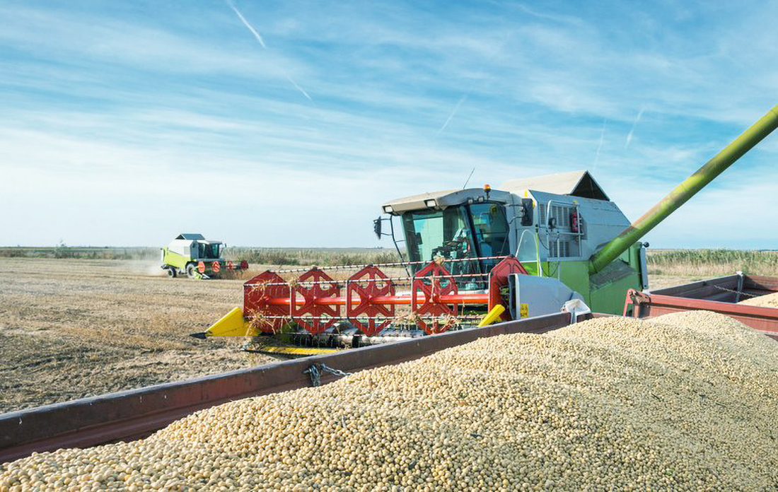 Capa Custos de produção estabilizam, mas preços recebidos por produtores voltam a cair