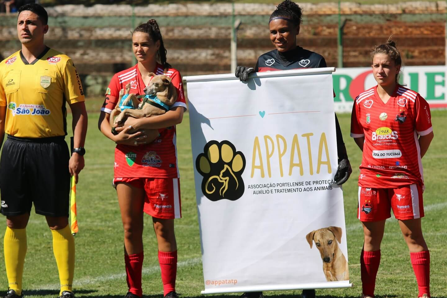 Capa Animais da Appata entram em campo com as Gurias do Yucumã