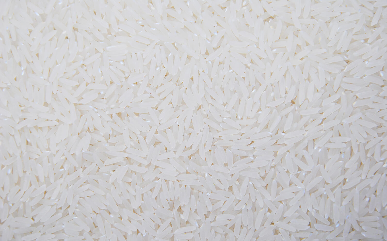 Capa Conab é autorizada a importar arroz