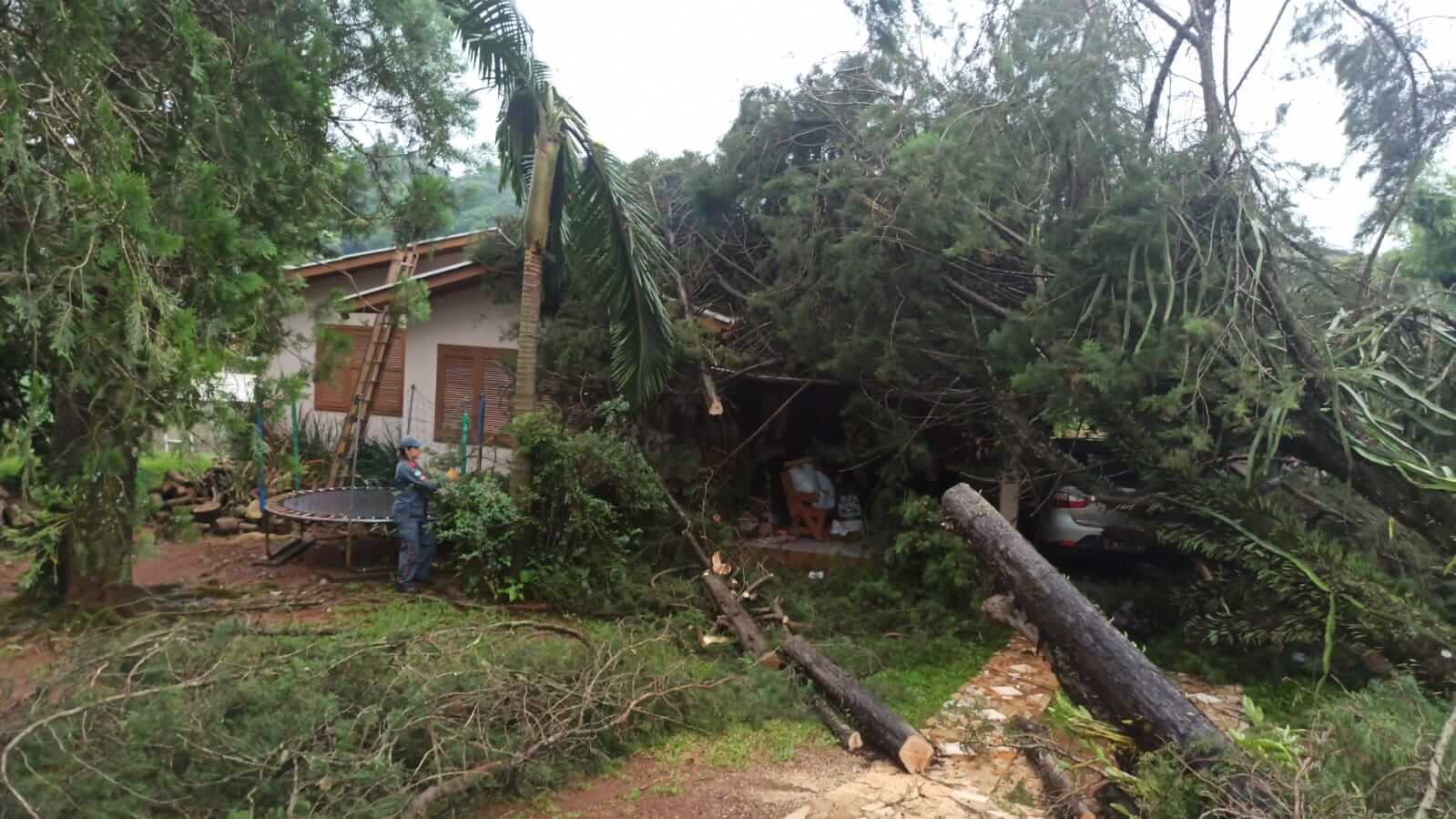Capa Temporal derruba árvores e destelha casas no oeste de Santa Catarina