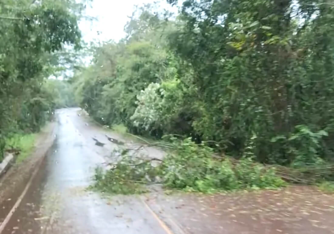 Capa Temporal derruba árvores e interdita rodovias na região Noroeste do RS