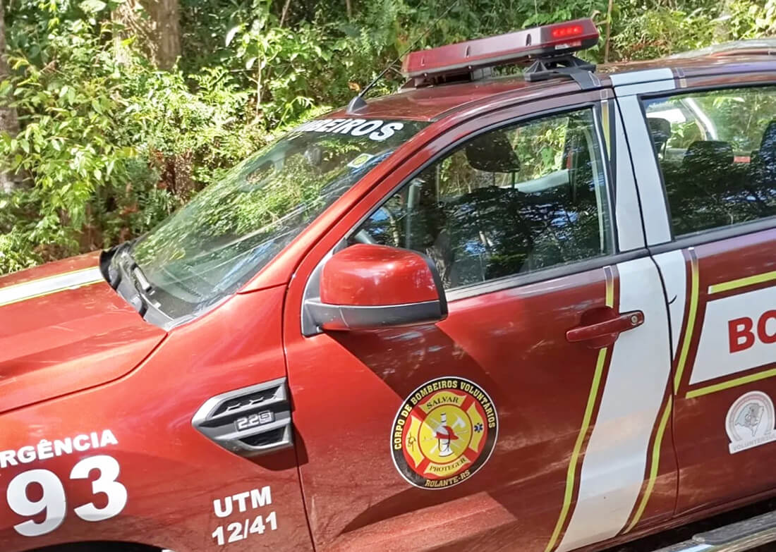 Capa Homem morre após ser atacado por abelhas no Rio Grande do Sul