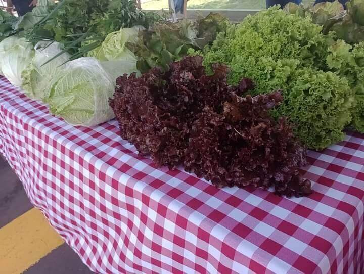 Capa Feira da Agricultura Familiar e do Artesanato movimenta Caiçara neste sábado