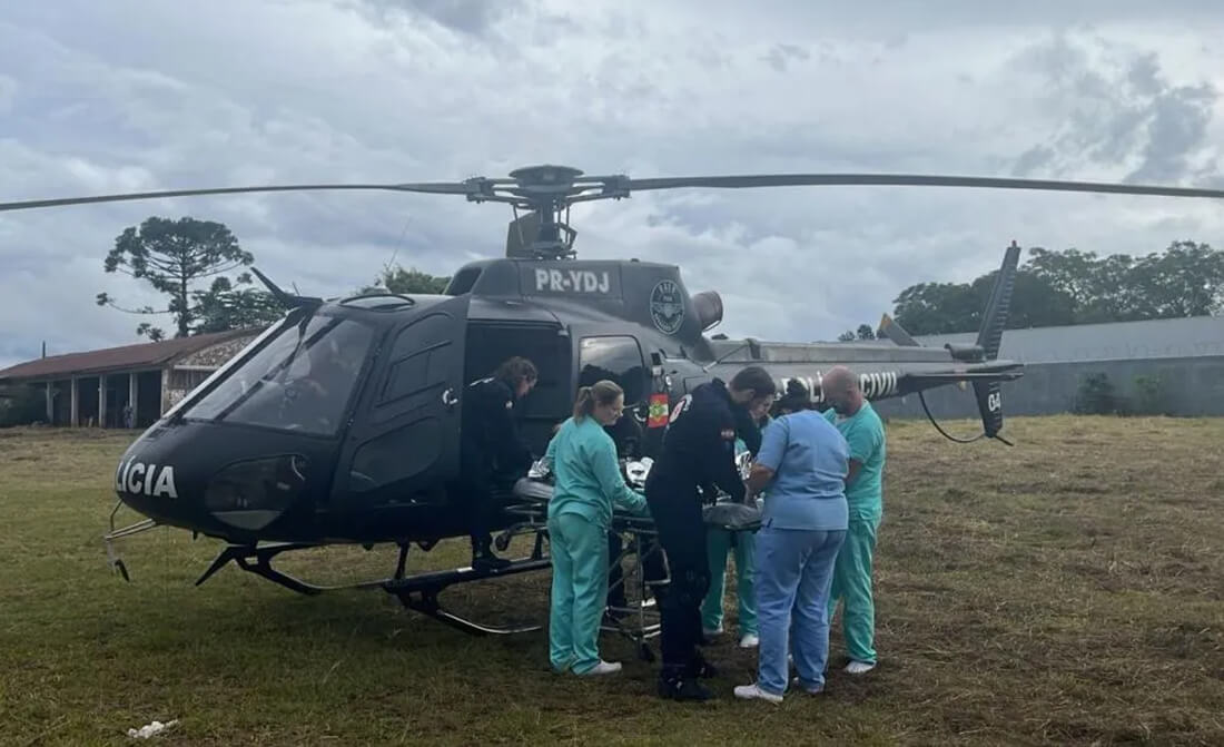 Capa Homem sofre ferimentos graves após queda de árvore no Extremo-Oeste catarinense