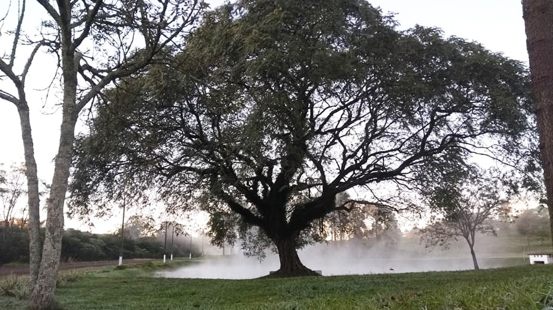 Capa Chuva, vento e frio marcam início de semana típica de inverno