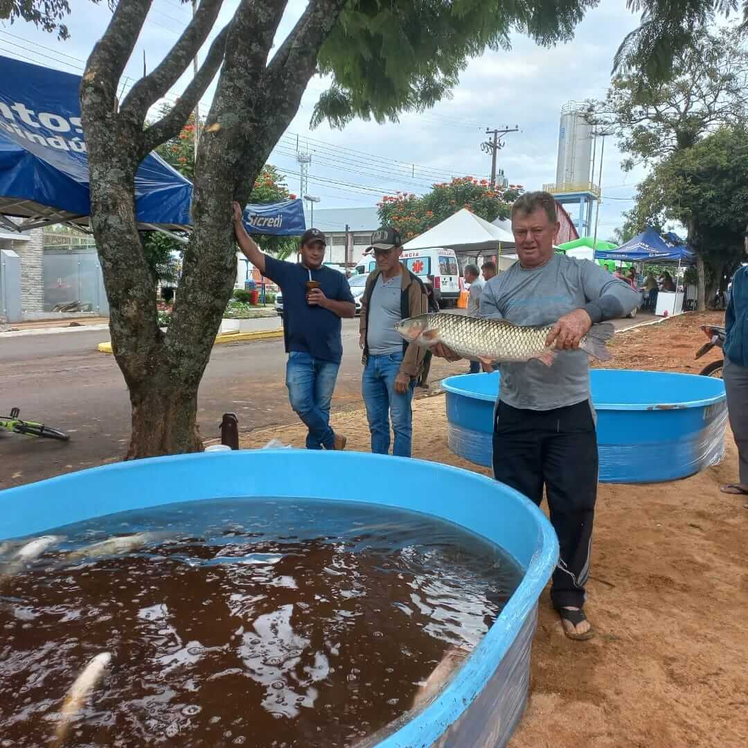 Capa Vista Alegre: feira comercializa meia tonelada de peixes
