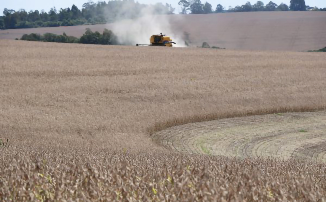 Capa Soja tem 80% das lavouras colhidas no Rio Grande do Sul