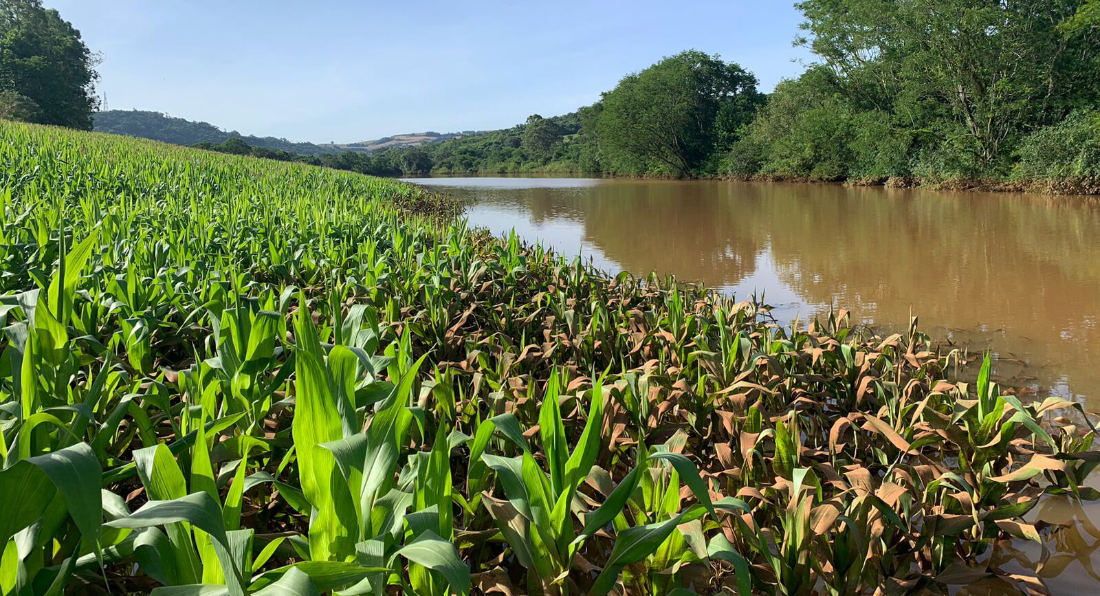 Capa Agricultores afetados por desastres climáticos podem acessar o Programa Reconstrói no Campo