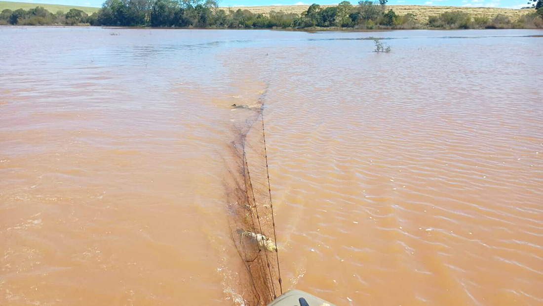 Capa Brigada Ambiental apreende 250 metros de redes de pesca irregulares em Ronda Alta