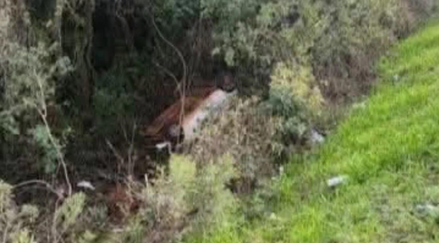 Capa Homem desaparecido é encontrado morto em carro capotado na BR-285