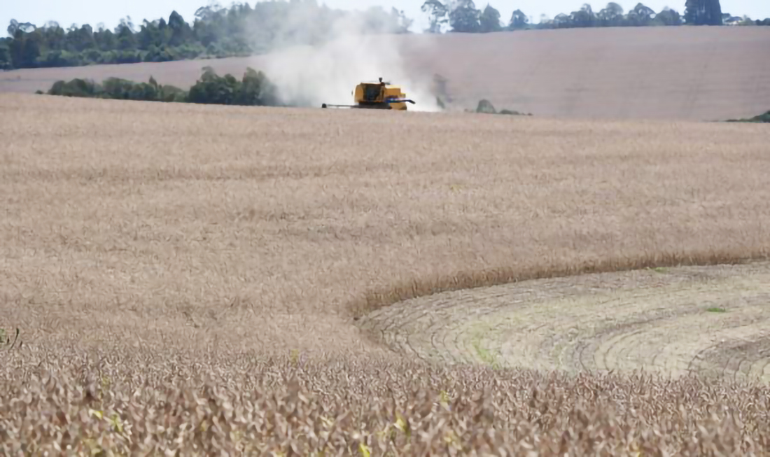 Capa Colheita da soja atinge 10% da área cultivada no Rio Grande do Sul