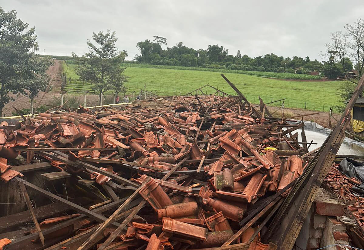 Capa Chiqueirão desaba após temporal e grupo se mobiliza para salvar animais