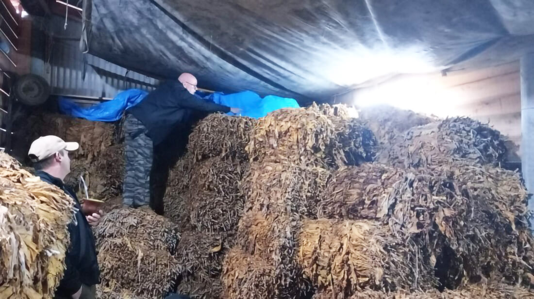 Capa Operação Pica Fumo combate furto de tabaco no interior do RS