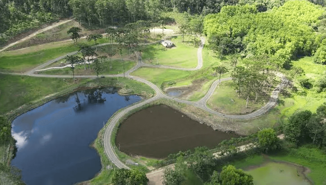 Capa Bebê é encontrado sem vida em área de mata do Rio Grande do Sul