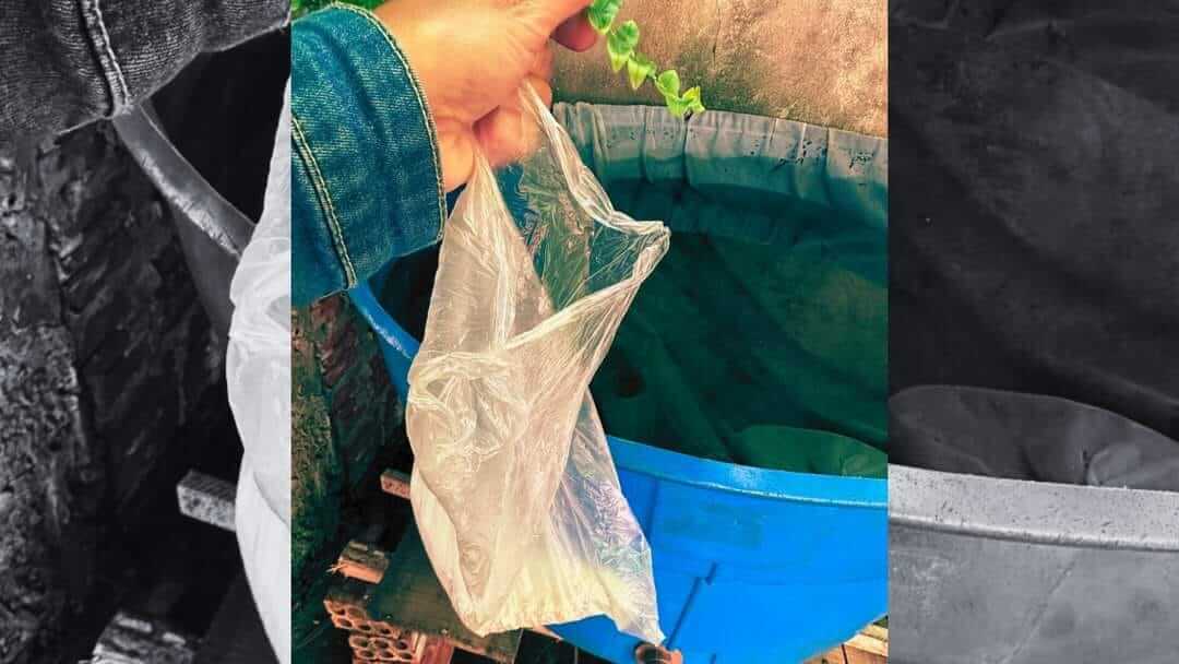 Capa Coronel Bicaco: agentes encontram larvas do Aedes Aegypti durante fiscalização em bairros