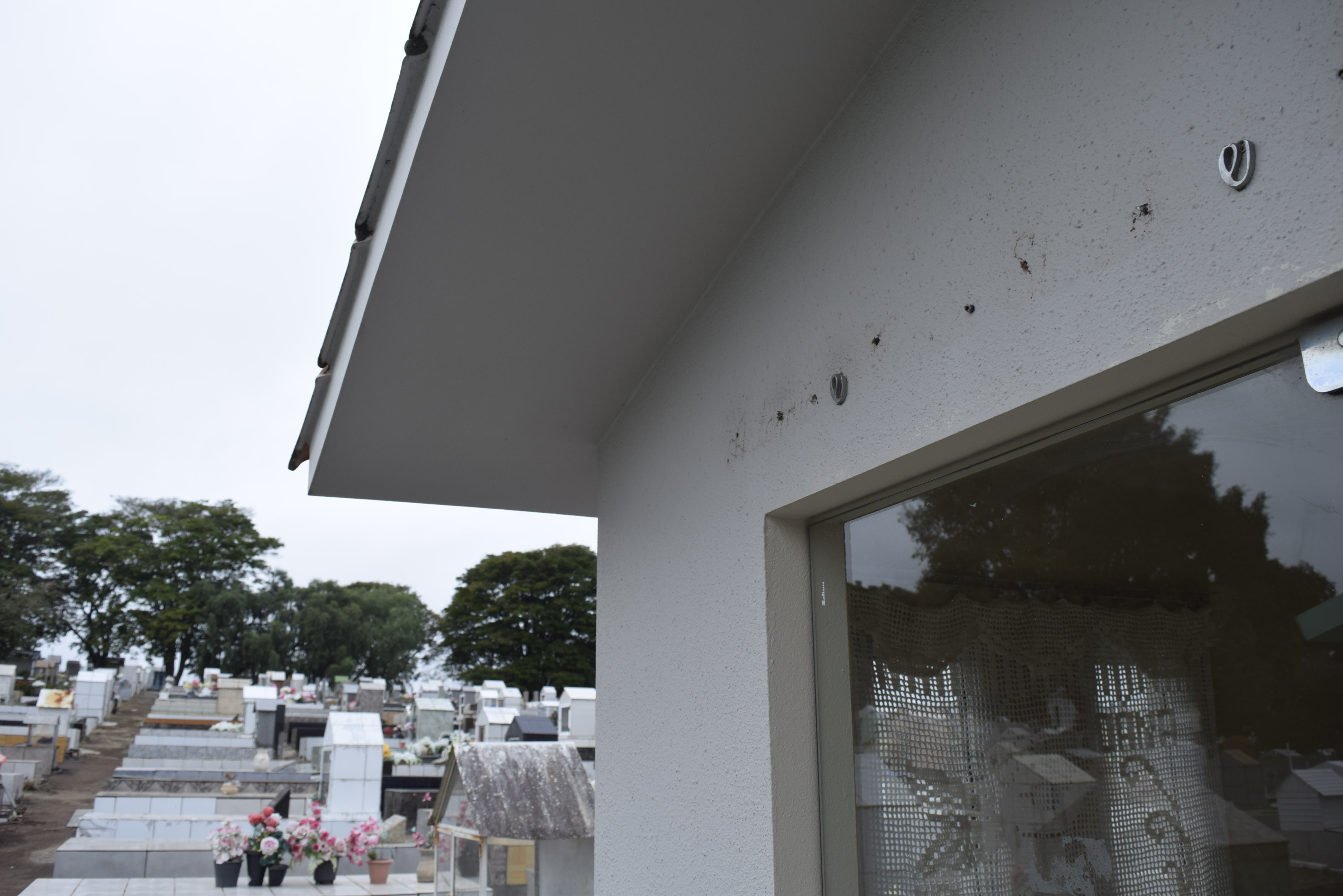 Capa Cemitério Municipal: após denúncia, medidas são tomadas pelos órgãos públicos em FW