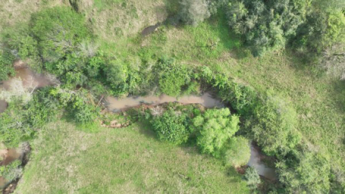 Capa Semana da Água inicia com foco no papel da sociedade na preservação do Meio Ambiente