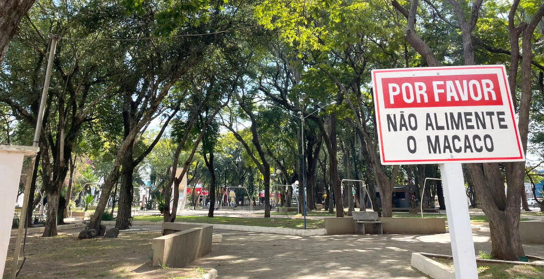 Capa Região das Missões entra em alerta por conta de caso de febre amarela