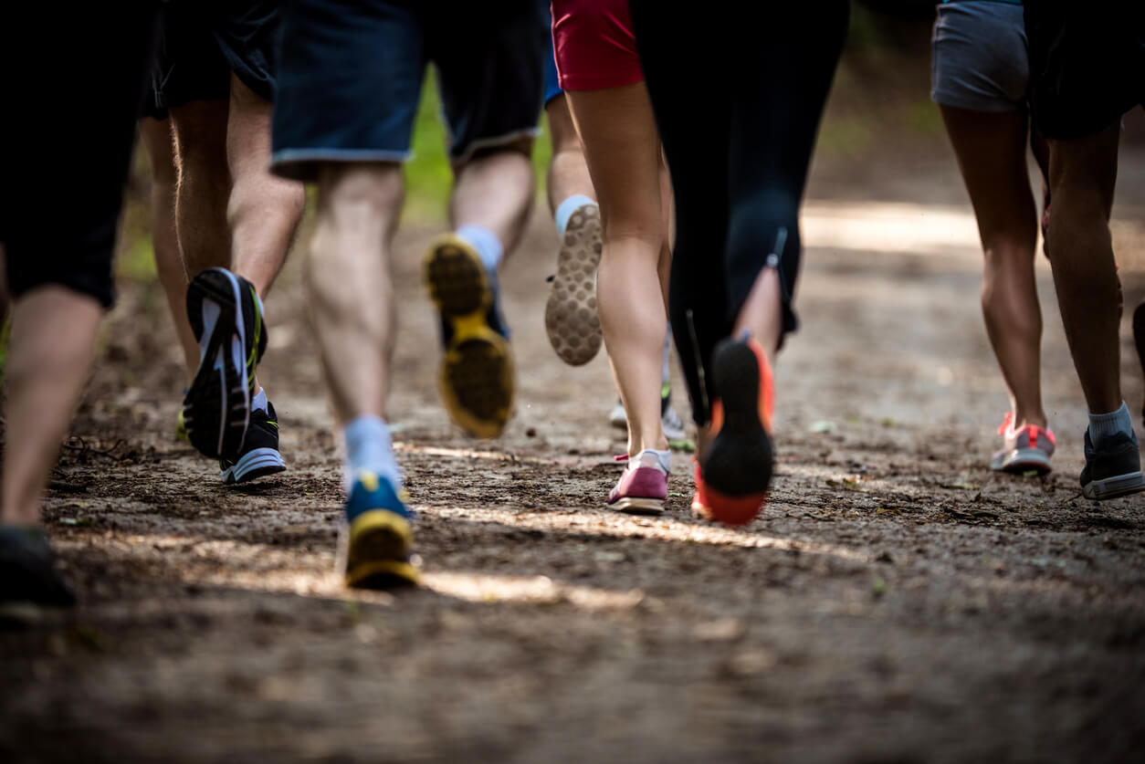 Capa Sesc Frederico Westphalen promove 1ª Fred West Trail Run neste domingo