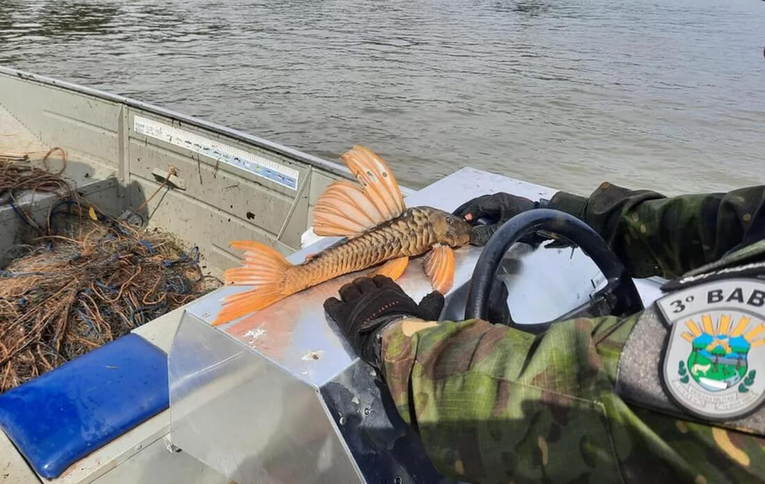 Capa Polícia apreende mais de 6 mil metros de redes de pesca na região