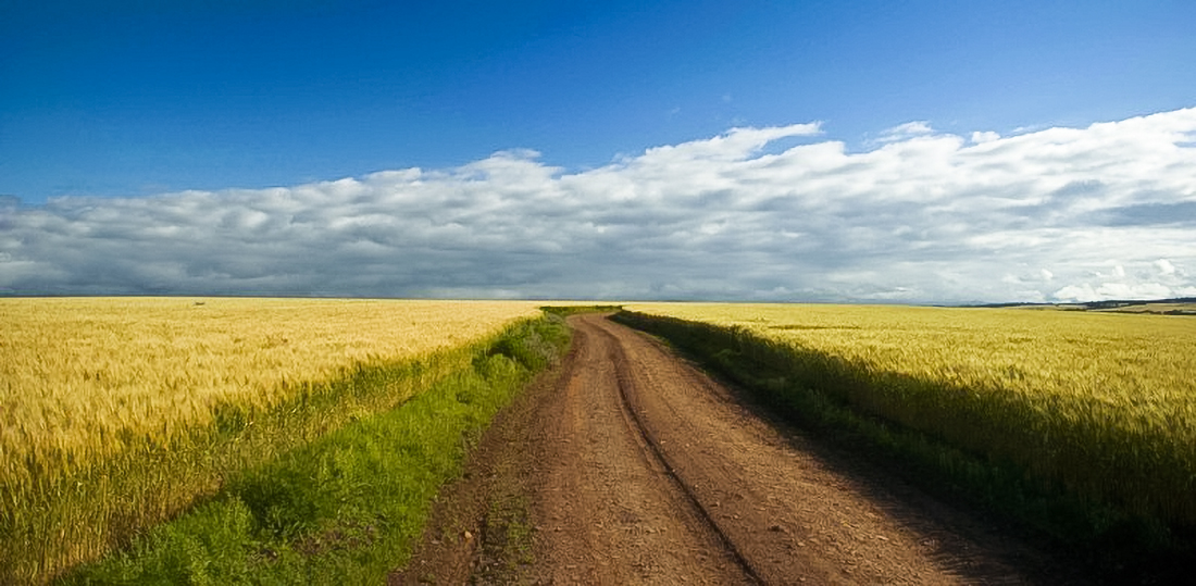 Capa La Niña se configura no Pacífico e acende alerta para o risco de estiagem no agronegócio do Sul do Brasil