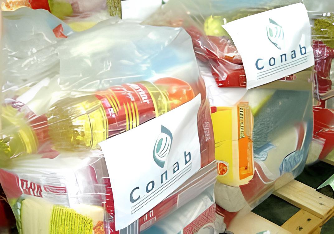 Capa Assistência Social inicia entrega de cestas básicas para famílias atingidas pelo temporal em Palmeira das Missões