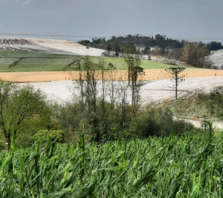 Capa Barra Funda aprova auxílio emergencial em insumos agrícolas para famílias atingidas por granizo