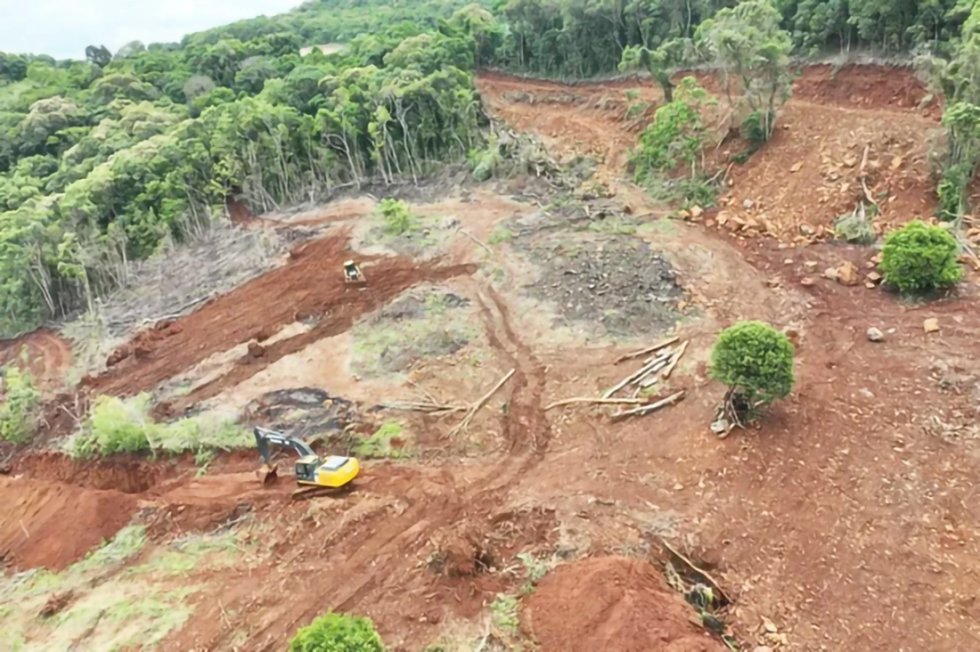 Capa Brigada Ambiental flagra novo desmatamento de Mata Atlântica no Norte Gaúcho