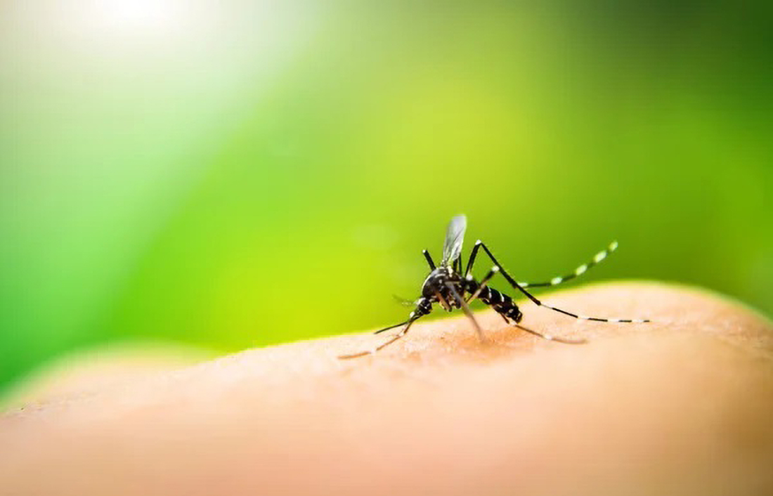 Capa RS confirma mais uma morte por dengue, em Selbach