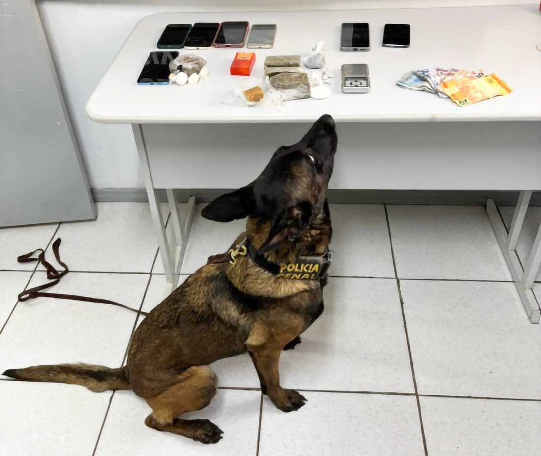 Capa Polícia Civil realiza Operação Cambará e prende dois homens em Cruz Alta