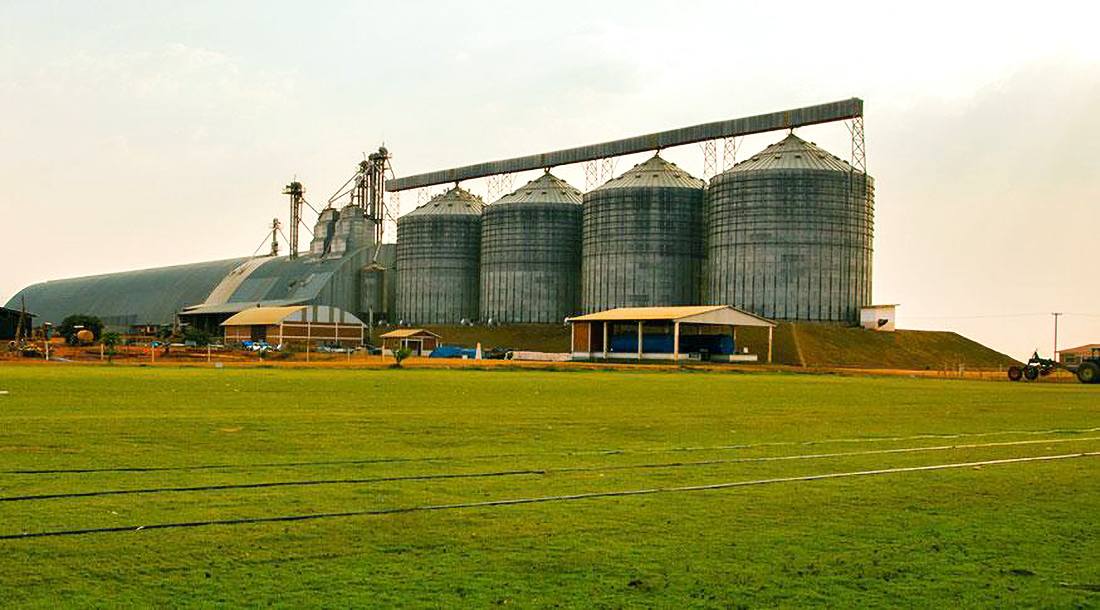 Capa Produtores gaúchos estimam redução de 10% na área da safra de inverno