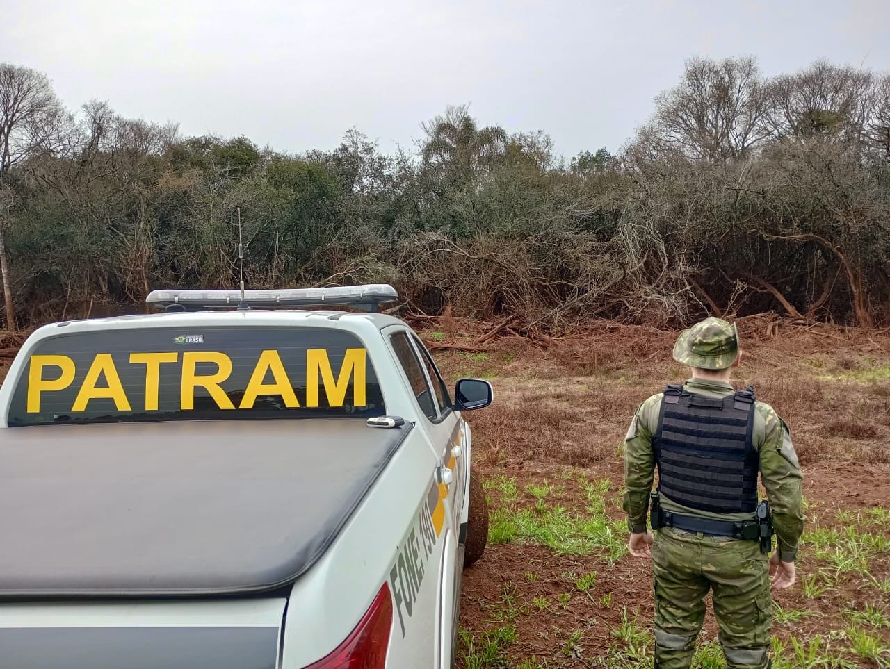 Capa Brigada Militar flagra destruição de vegetação nativa em Quinze de Novembro