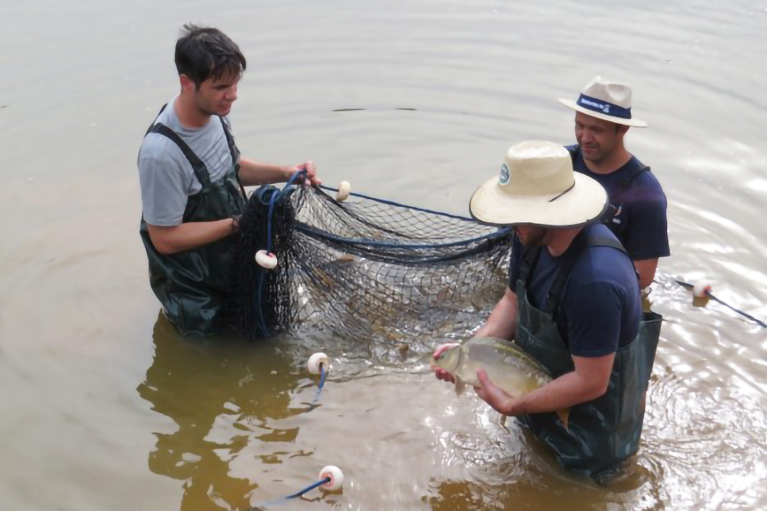 Capa Emater apresenta etapas importantes na criação de peixes