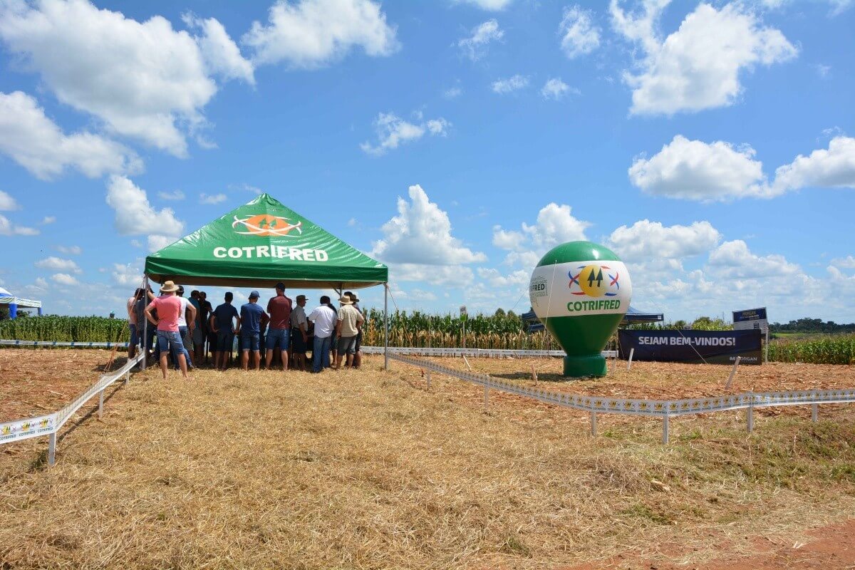Capa Cotrifred realiza o Dia de Campo nesta quinta, 2