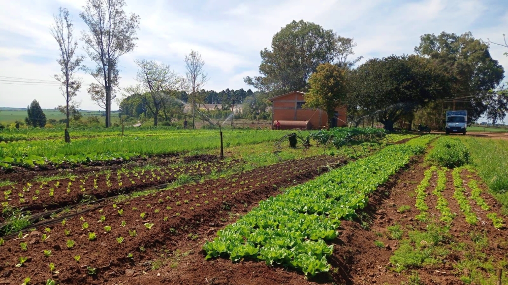 Capa Secretaria de Agricultura e Pecuária de Palmeira das Missões realiza visitas técnicas a produtores do Programa de Aquisição de Alimentos (PAA)