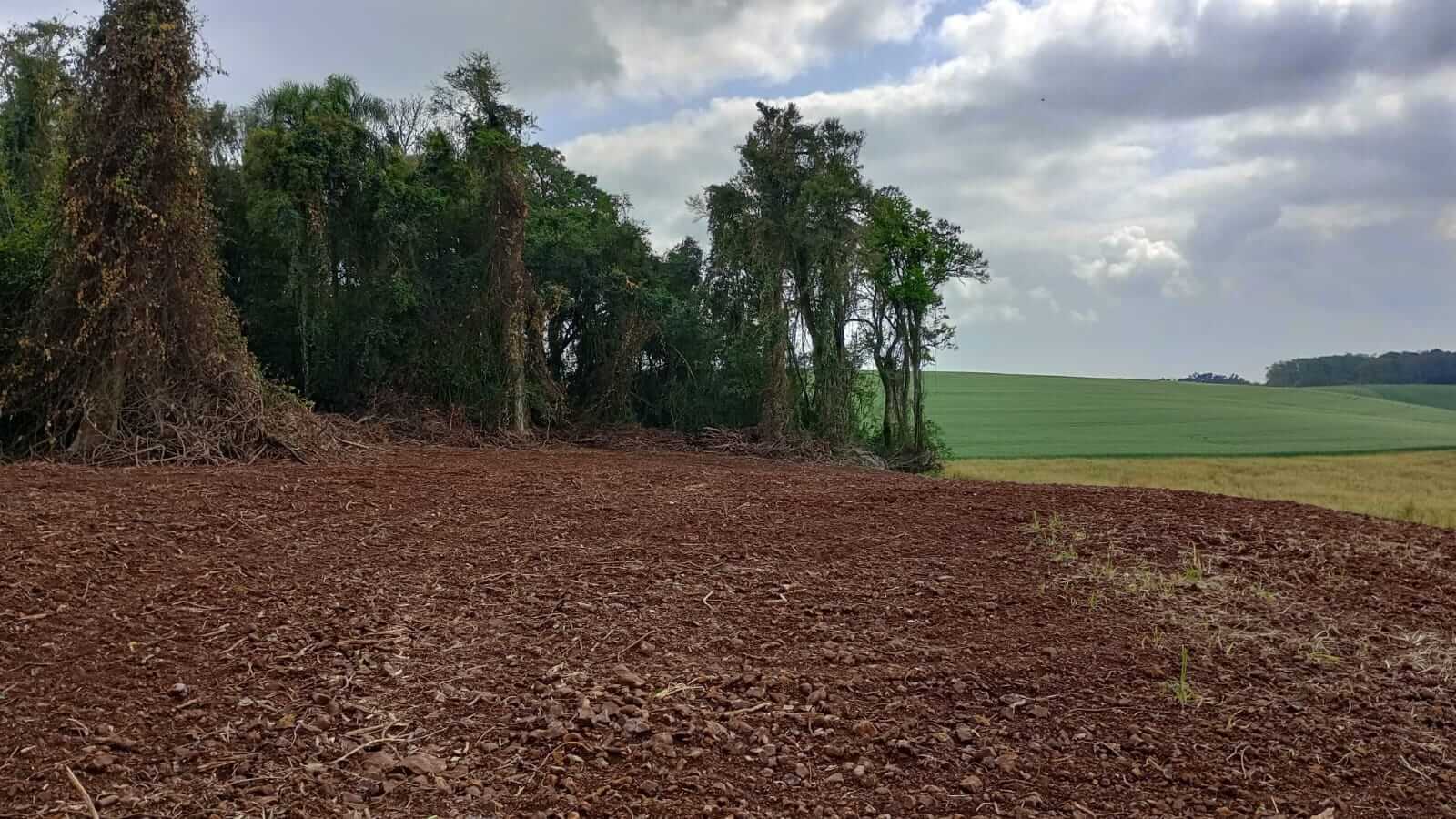 Capa 3º BABM flagra destruição de mais de 68 mil metros quadrados de vegetação nativa em Condor