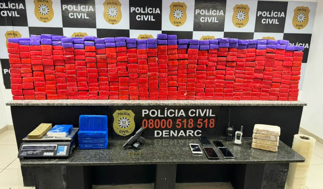 Capa Polícia Civil apreende mais de meio milhão de reais em entorpecentes