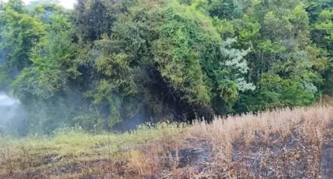 Capa Incêndio atinge lavoura de soja e vegetação no interior de Tenente Portela