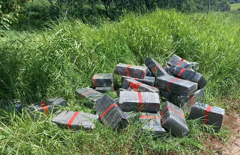 Capa Mulher que transportava 710 kg de maconha é assaltada, chama a polícia e é presa